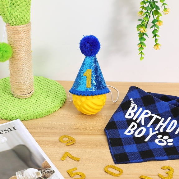 PENIKOKO Puppy Birthday Party Decorations Set Dog Hat and Accessories for Pet Celebration