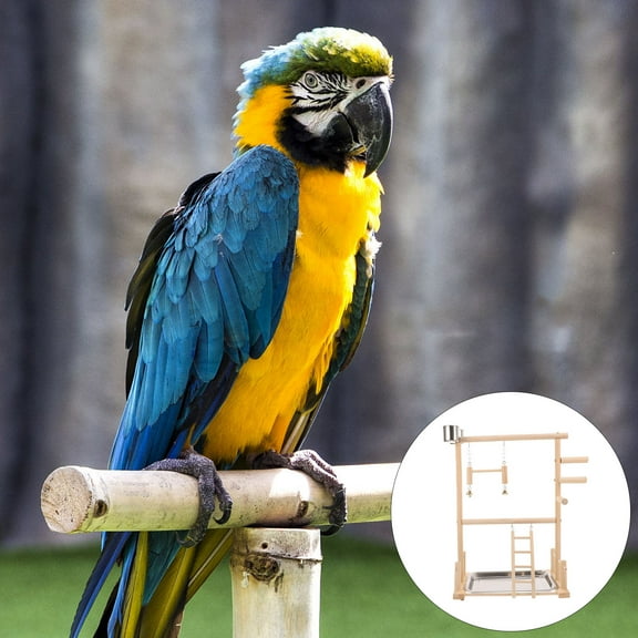 PENIKOKO 1 Set of Interactive Bird Perch Toy Wood Details for Exercise Brain in Home Decoration