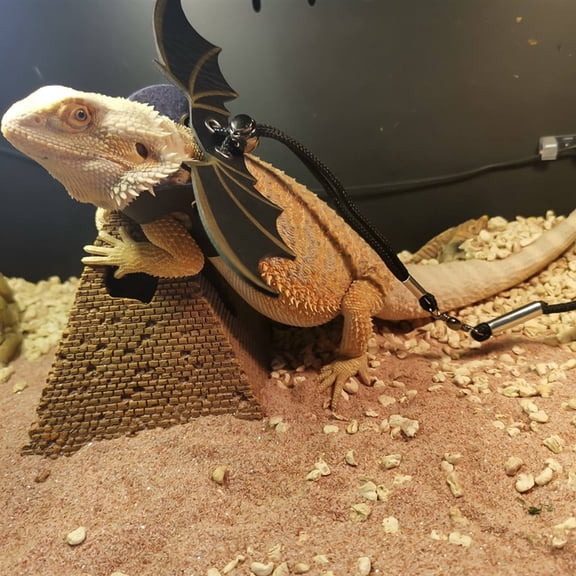PENIKOKO Adjustable Black Reptile with Traction Rope for Bearded Dragons and Small Pets, 1 Set