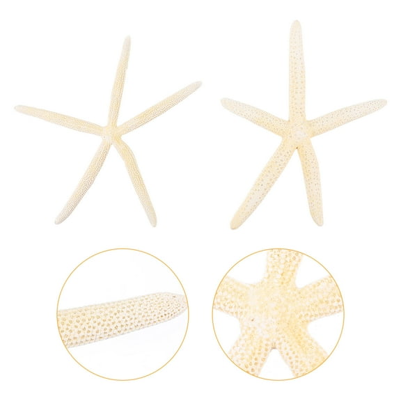PENIKOKO 2 Pieces White Natural Decorative Sea Stars for Home Decor Coastal Beach Style