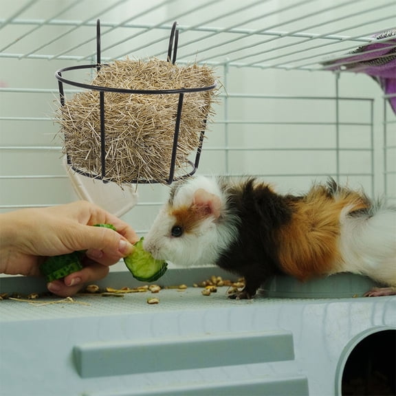 PENIKOKO 2Pcs Metal Rabbit Feeding Station Black Hay Rack Cage Hanging Feeder for Small Animals Storage