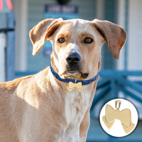 PENIKOKO 5Pcs Stainless Steel Dog Tag Charms Bow Shape Golden Lightweight Accessories