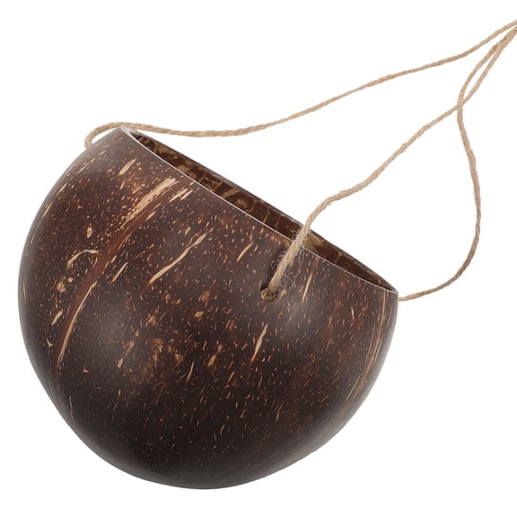 PENIKOKO Handmade Coconut Shell Hanging Planter with Rope for Indoor Outdoor Plants Decoration
