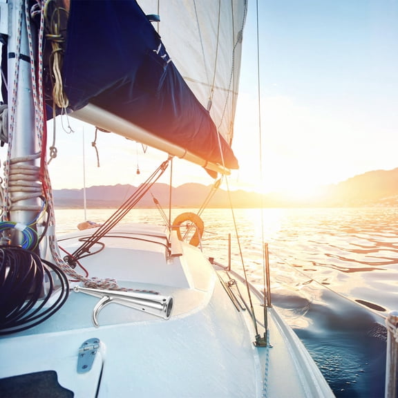 PENIKOKO Replacement Head for Boat Hook Marine Grade Design Silver 1Pack