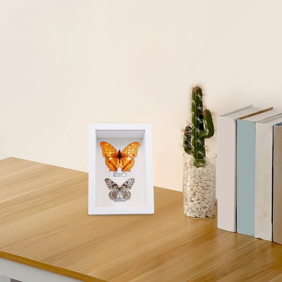 PENIKOKO White Wooden Display Frame with Glass Window for Specimen Or Keepsake Display