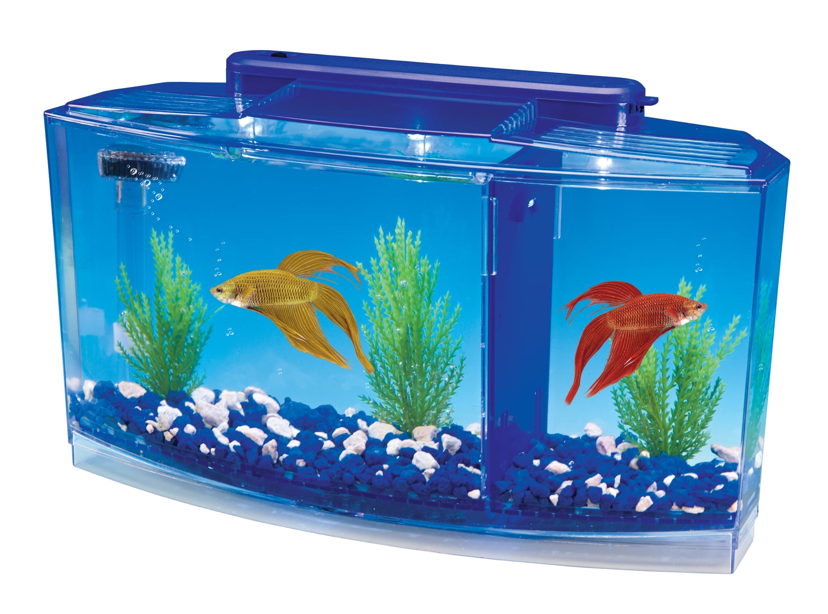 PENN-PLAX Deluxe Triple Betta Bow Tank Kit 0.7 Gallon in Blue