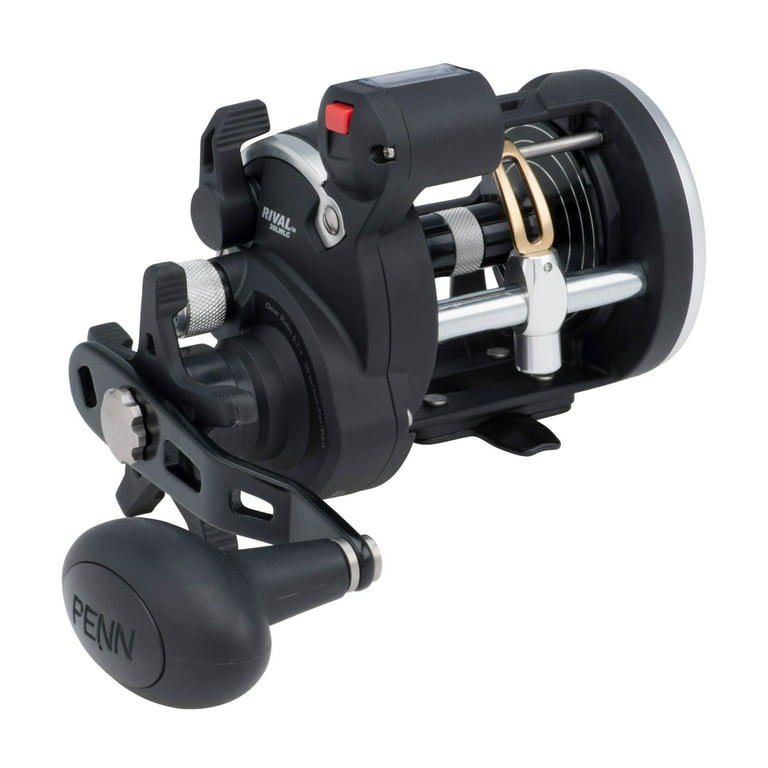 PENN Defiance 20LW Level-Wind Conventional Fishing Reel Saltwater  Freshwater