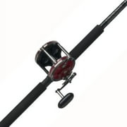 PENN Senator  Combo, 66" Medium Heavy Fishing Rod, 113 Size Reel