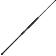 PENN Squadron  III Surf Spinning Rod, 10 Medium Heavy Fishing Rod, 2 Piece