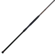 PENN Squadron  III Surf Spinning Rod, 12 Heavy Fishing Rod, 2 Piece