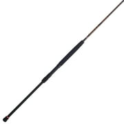 PENN Squadron  III Surf Spinning Rod, 9 Medium Fishing Rod, 2 Piece