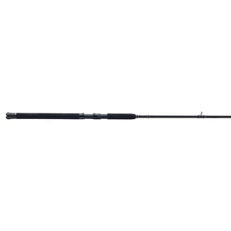Rods 9 Feet Fishing
