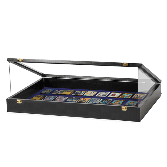 Trade Show Display Case - Acrylic Sides Guards (Black)