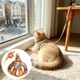 thumbnail image 1 of PEONAVET Cat Harness and Leash Set, Color Blocked Pet Strap and Leash Set Breathable Mesh Vests with Adjustable Straps Suitable for Small and Medium Cats and Dogs(Orange), 1 of 7
