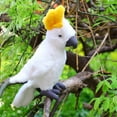 thumbnail image 1 of PEONAVET Macaw Parrot Stuffed Animal, 9.8 Inch Realistic Bird Plush Toys, Soft Parrot Dolls Toy for Kids, Plush Bird Toy for Birthday Christmas Easter Basket Fillers(White), 1 of 7
