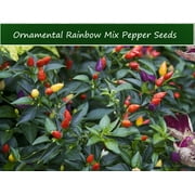 PEPPER SEEDS - Serendipitys Ornamental Rainbow Mix Pepper -20 Seeds-All Natural - Heirloom Garden Vegetable Seed Pack