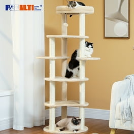 Catry Bradbury 7 Level Cat Tree with Hammock and Condo