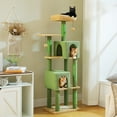 thumbnail image 1 of PEQULTI 62" Multi-Level Cat Tree with Condo & 4 Scratching Posts Large Scratcher for Indoor Cat Green, 1 of 10