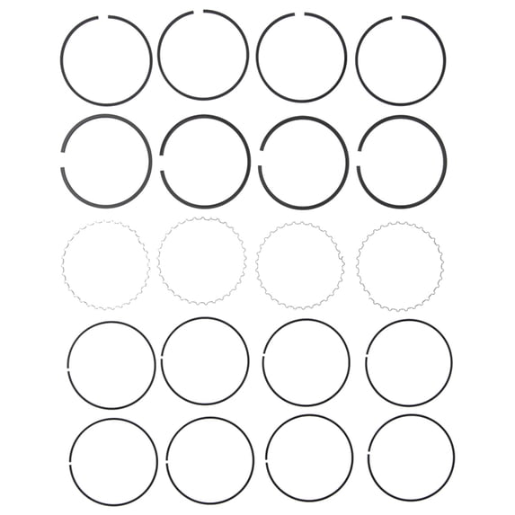 PERFECT CIRCLE RING SET