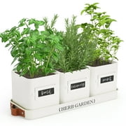 PERFNIQUE Indoor Herb Garden, Herb Garden Planter for Indoor/Outdoor, Farmhouse Plant Pots, Windowsill Herb Garden with TrayPlanter only Window Pots C48
