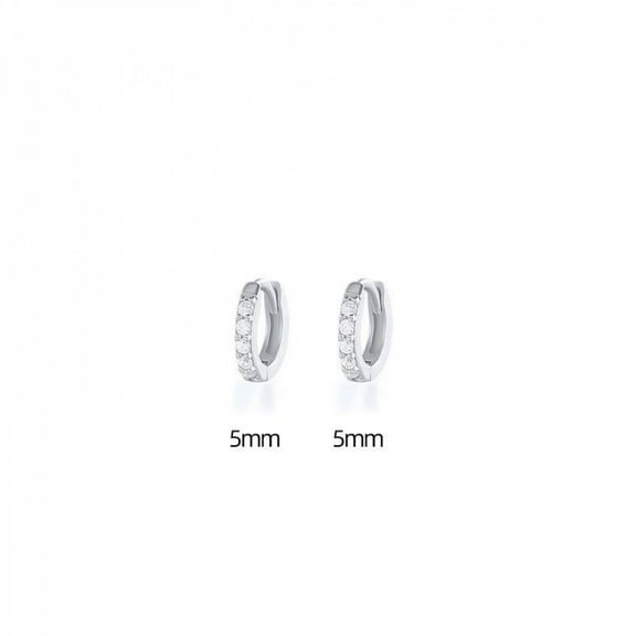 PERITANG 925 Sterling Silver Stud Earrings Birth Cubic Zircon Fashion Jewelry For Women