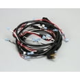 thumbnail image 1 of Perlick Wire Harness, 4 Ft 5 Ft. 65038-1 - Genuine OEM Replacement Part, 1 of 4