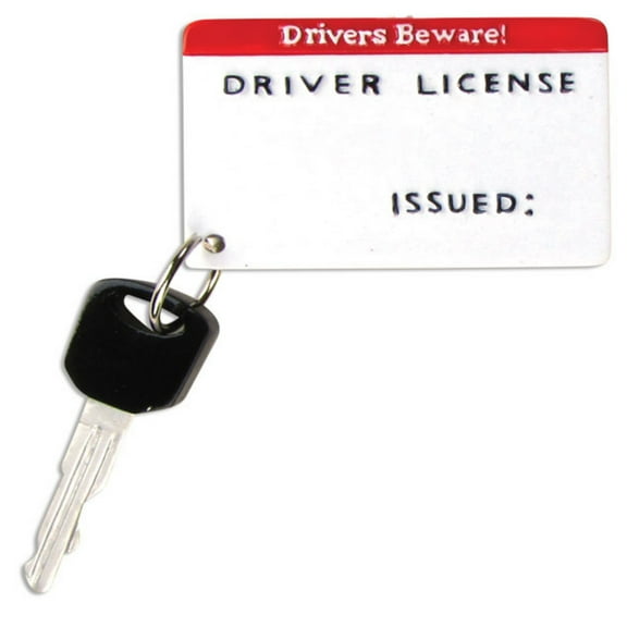 Driver's License New Driver Personalized Christmas Ornament