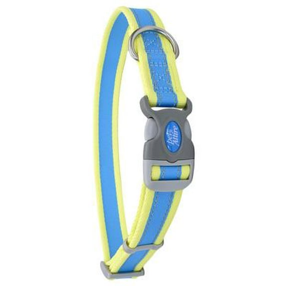 Coastal Pro Reflective Adjustable Dog Collar, 1-in x 14-20-in