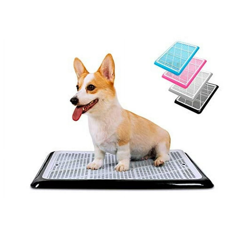 PET AWESOME Doggie Potty Tray Puppy Pee Pad Holder 25 x20 Indoor Outdoor Use for Small and Medium Dogs Walmart