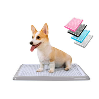  Skywin Pee Pad Holder Tray for 30 x 23 Training Pads, Silicone  Wee Wee Pad Holder, No Spill and Leaks Puppy Pad Holder Easy to Clean and  Store Dog Pad Holder (
