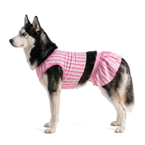 Vibrant Life Striped Dog Bikini, Pink and White, Large