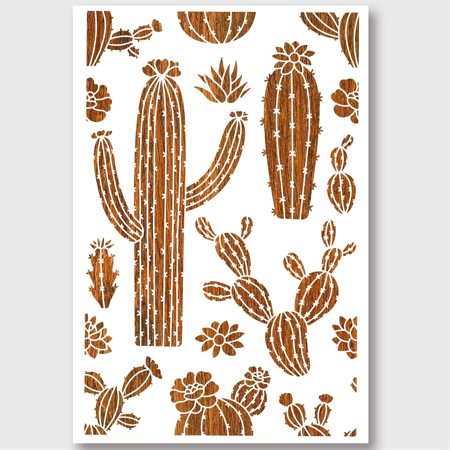 Cactus Template cactus-template