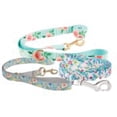 thumbnail image 1 of PET LEASH, 1 of 1