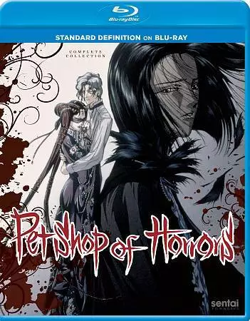 Disco Platino Bruce Springsteen - Edizione Limitata Con CD E Certificato - Cornice In Alluminio 40x50 Cm - Da Collezione - Foto 3