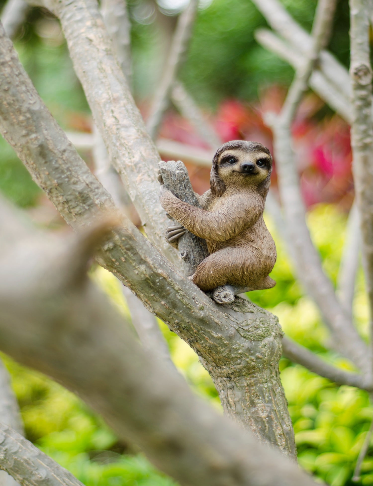 Adorable Dark Brown Polyresin Pet Sloth Garden Statue