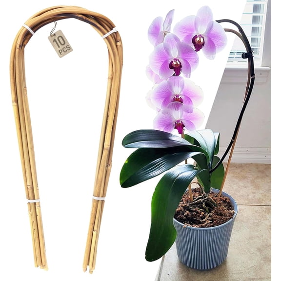 PETGLE 16" Natural Bamboo Plants Trellis U-Hoop,Bamboo Gaeden Trellis U-Shape for Climbing Plant Support-10PCS