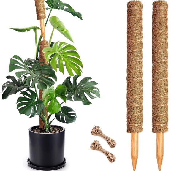 PETGLE 2 Pack 22 Inch Stackable Moss Pole - Thick & Sturdy Natural Coir Totem Plant Support & Garden Stakes for Monstera & Pothos, Indoor Climbing Vining Houseplants, 38" H Max