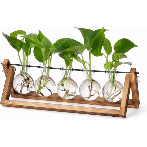 PETGLE Plant Propagation Stations with Wooden Stand & 5 Glass Bulb Vases | Tabletop Plant Terrarium for Propagating Hydroponic, Retro Glass Planter Flower Vase Home Kitchen Office Decor Gifts
