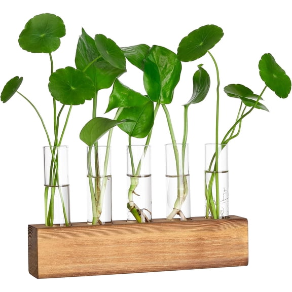 PETGLE Plant Propagation Stations with Wooden Stand,5 Glass Test Tubes Vases | Plant Terrarium,Birthday Gardening Gifts for Women Mom Plant Lovers, Home Office Desk Decor