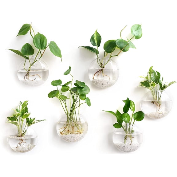 PETGLE Wall Hanging Glass Terrariums Planter Oblate Flower Vase for Hydroponics Plants, Bathroom, Home Office Living Room Decor, Set of 6(Plants not Included)