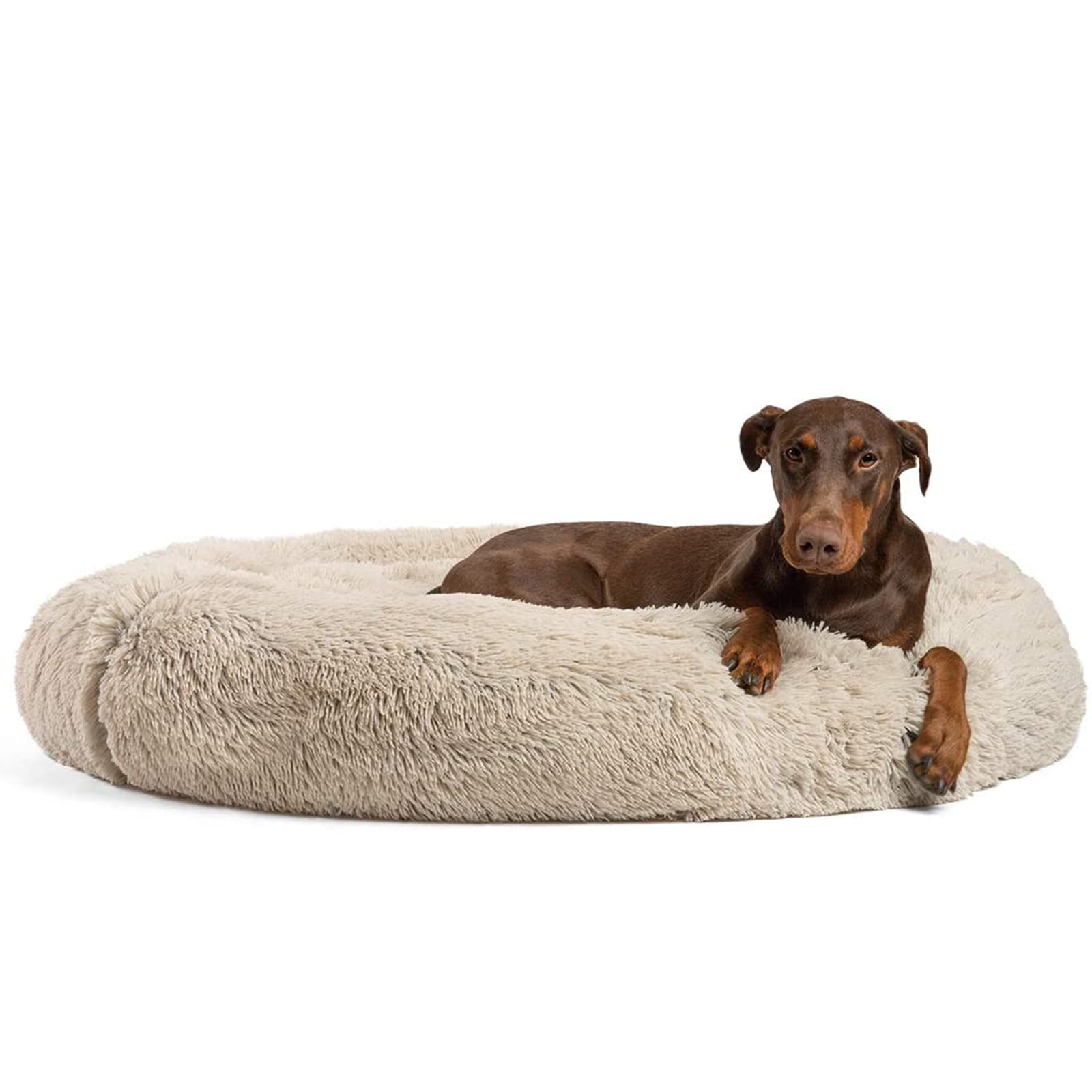 The best dog top beds for large dogs