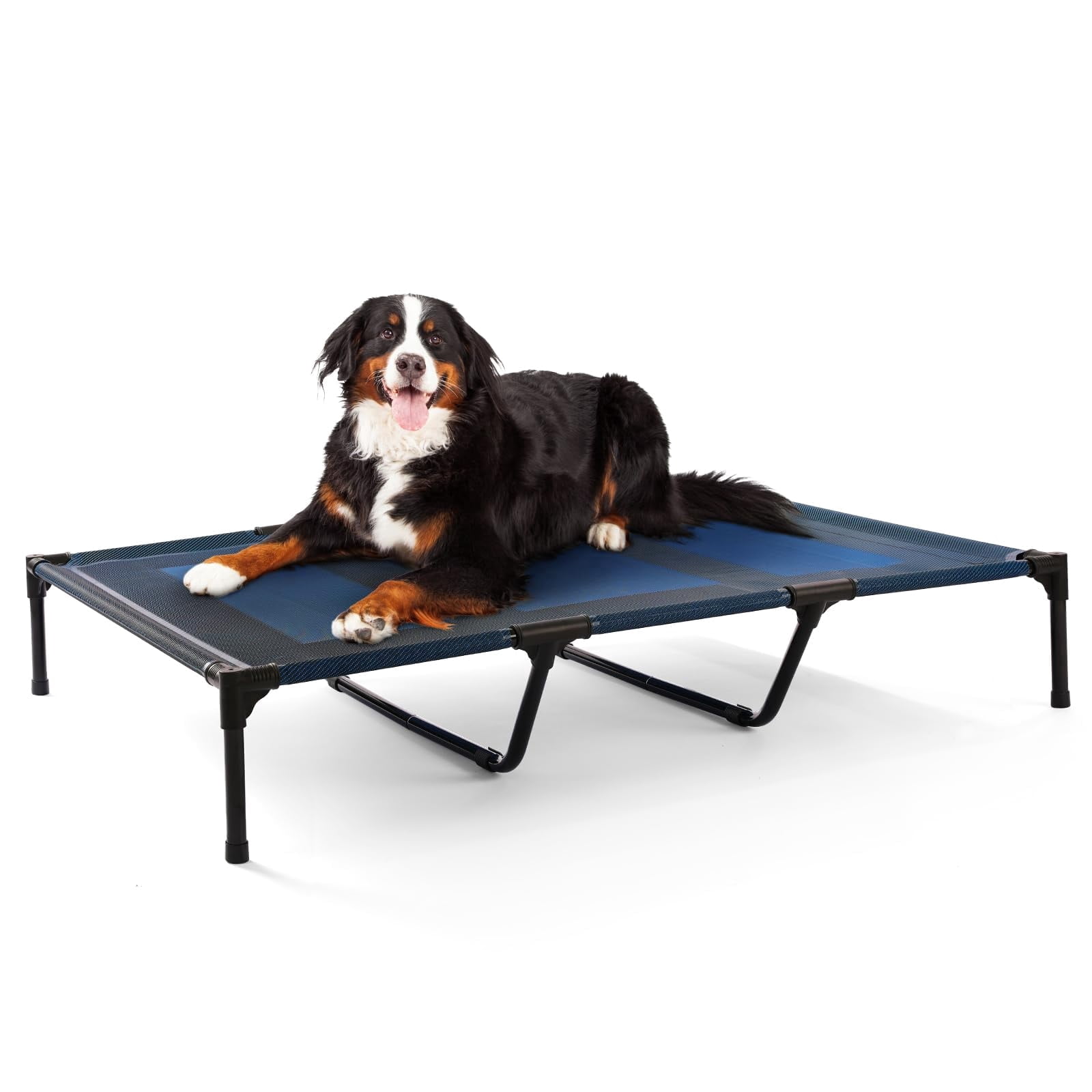 Petizer Elevated Dog Bed, Cooling Raised Pet Cot with Breathable Mesh & Sturdy Frame, Waterproof Indoor/Outdoor Pet Bed (48x36 Inches, Blue)