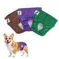 thumbnail image 1 of PETLESO Female Waterproof Physiological Pants, Reusable Female Dog Diapers, Adjustable Female Dog Diapers 3 Pieces, Suitable for Most Puppies - Size L, 1 of 6