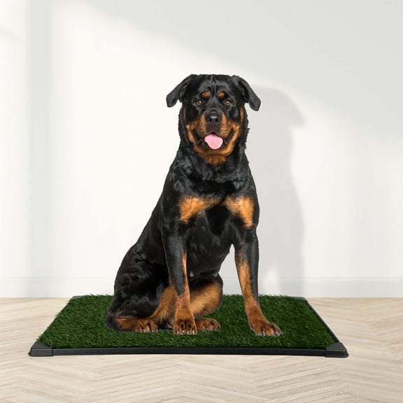 PETMAKER 41x27in Reusable Dog Grass Pad with Tray for Puppy Training