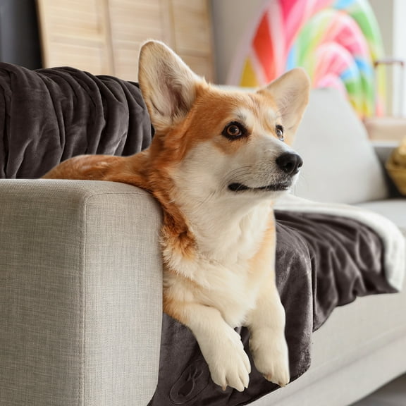 PETMAKER Dog Blanket - Sherpa Blanket for Bed, Couch, or Car (Charcoal)