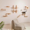 PETOMG Cat Shelf Wall, Cat Wall Furniture, Cat Ladder Cat Wall
