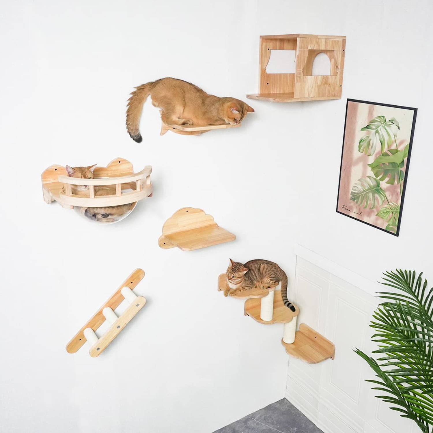 PETOMG Cat Shelves, DIY Cat Shelves, Cat Wall Furniture Cat Wall
