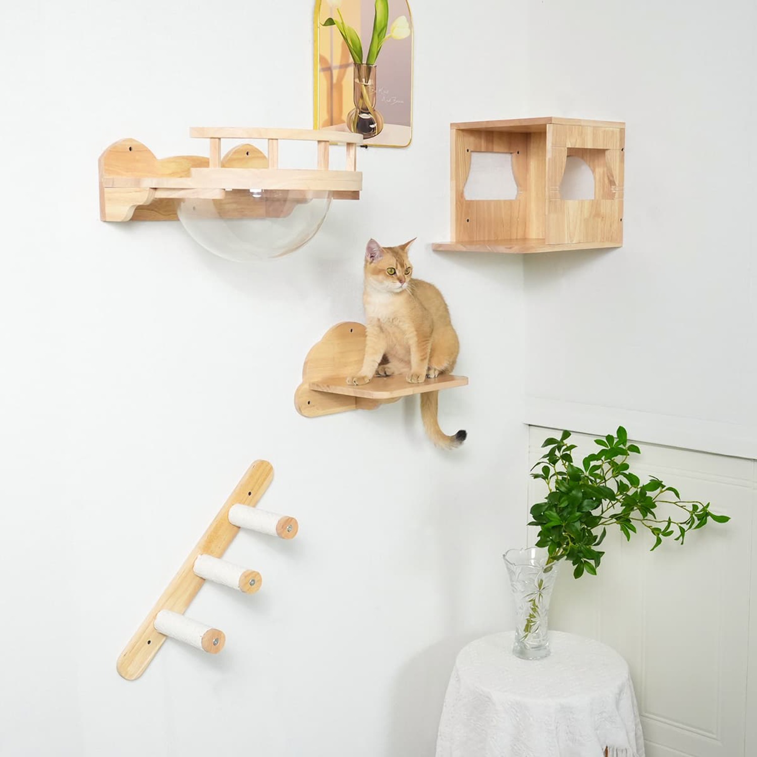 PETOMG Cat Walks, Cat Wall Steps, Cat Wall Shelves Cat Wall Mounted