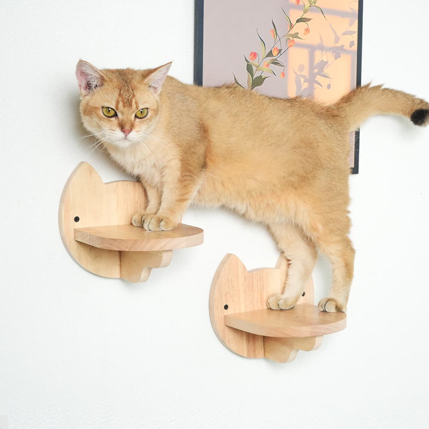 PETOMG Cat Wall Steps, Cat Shelf, Cat Ladder, Cat Walks(2PCS)| Rubberwood