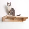 PETOMG Cat Wall Steps, Cat Walks, Cat Ladder, Cat Wall Shelf